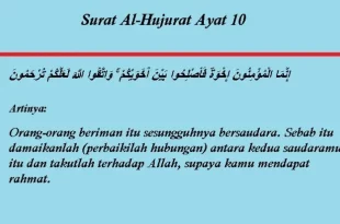 surat al hujurat ayat 12 0