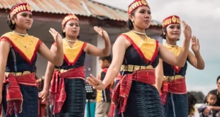 tari tortor berasal dari 0