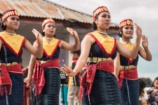 tari tortor berasal dari 0