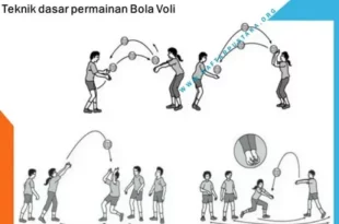 teknik dasar permainan bola voli 0
