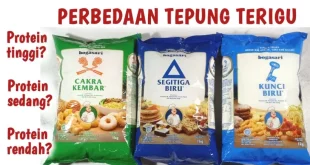tepung terigu protein sedang 0