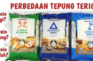 tepung terigu protein sedang 0