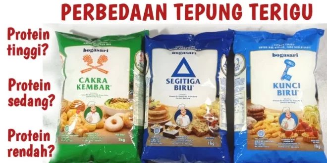 tepung terigu protein sedang 0
