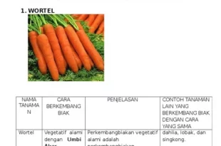 tumbuhan yang berkembang biak dengan spora adalah 0