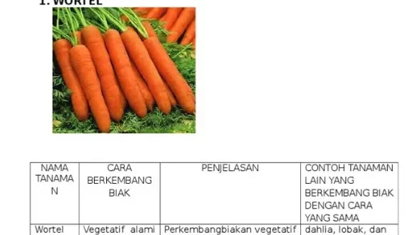tumbuhan yang berkembang biak dengan spora adalah 0