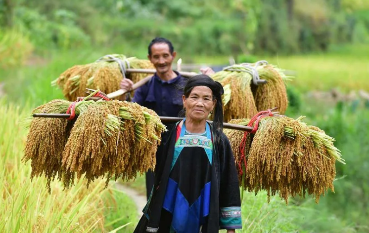 Interpretasi Kearifan Lokal