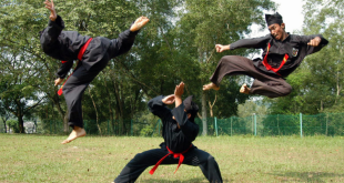 Manfaat Beharga Dari Pencak Silat 1