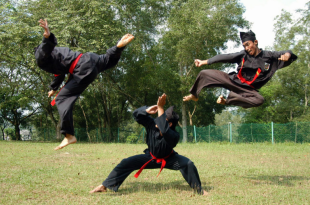 Manfaat Beharga Dari Pencak Silat 1