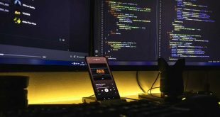 Software Developer