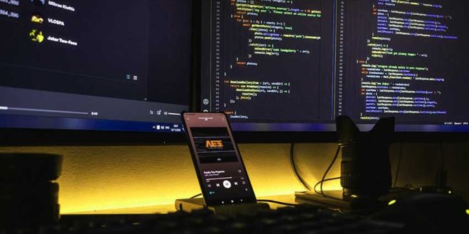 Software Developer