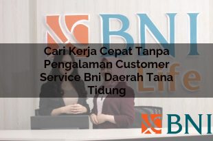 cari kerja cepat tanpa pengalaman customer service bni daerah tana tidung 1751090347