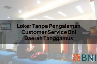 loker tanpa pengalaman customer service bni daerah tanggamus 1751102344
