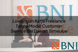 lowongan kerja freelance tanpa modal customer service bni daerah simeulue 1751120459