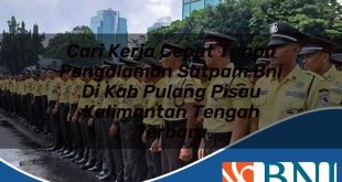 cari kerja cepat tanpa pengalaman satpam bni di kab pulang pisau kalimantan tengah terbaru 1753691064