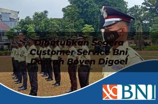 dibutuhkan segera customer service bni daerah boven digoel 1753605064