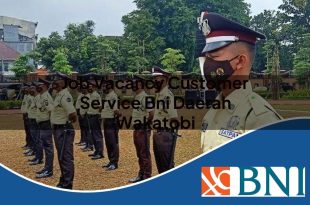 job vacancy customer service bni daerah wakatobi 1753854135