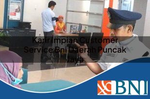 karir impian customer service bni daerah puncak jaya 1753610626