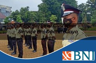 karir terbaru customer service bni daerah gayo lues 1753860860