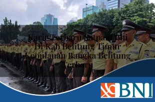 Karir Terbaru Satpam BNI di Kab. Belitung Timur, Kepulauan Bangka Belitung Terbaru Tahun 2025 13 karir terbaru satpam bni di kab belitung timur kepulauan bangka belitung terbaru 1753703172