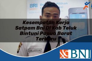 kesempatan kerja satpam bni di kab teluk bintuni papua barat terbaru 1753871173