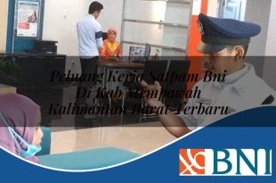 peluang kerja satpam bni di kab mempawah kalimantan barat terbaru 1753910584